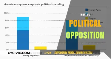 Understanding the Role and Impact of Political Opposition in the US