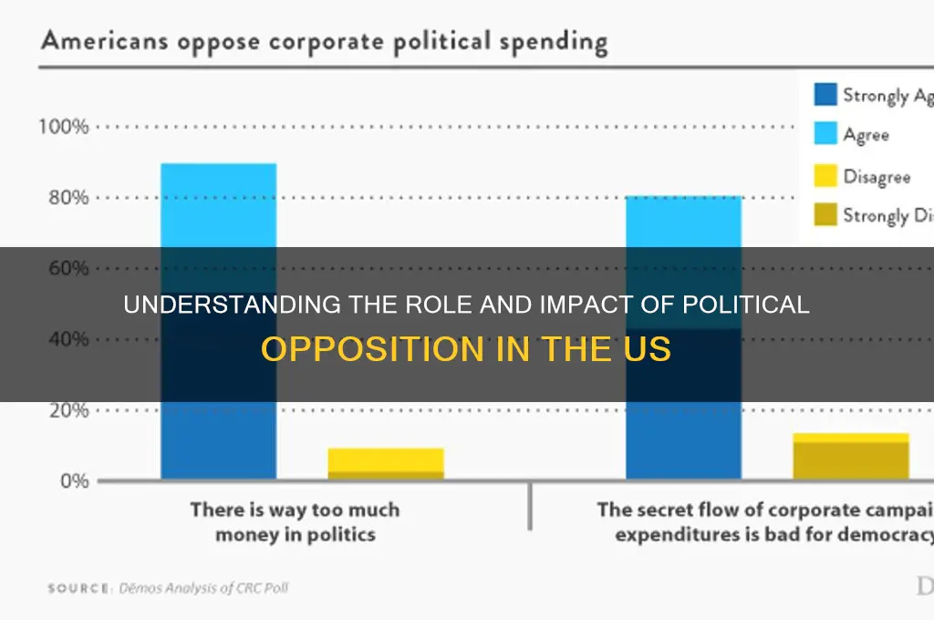 what us political opposition