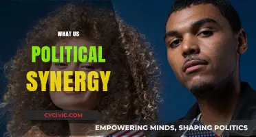 Understanding Political Synergy: Uniting Forces for Effective Governance in the US
