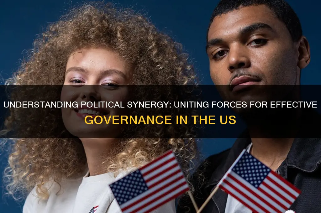 what us political synergy