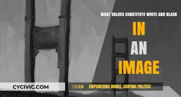 Understanding Image Composition: Black and White Values