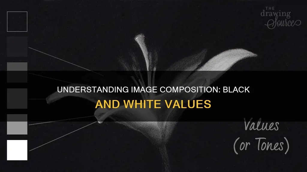 what values constitute white and black in an image