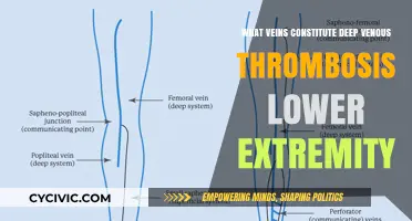 Understanding Veins: Deep Venous Thrombosis in Lower Limbs