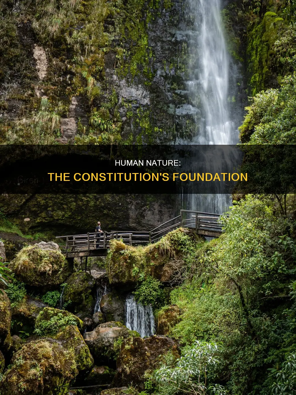 what view of human nature does the constitution rest on