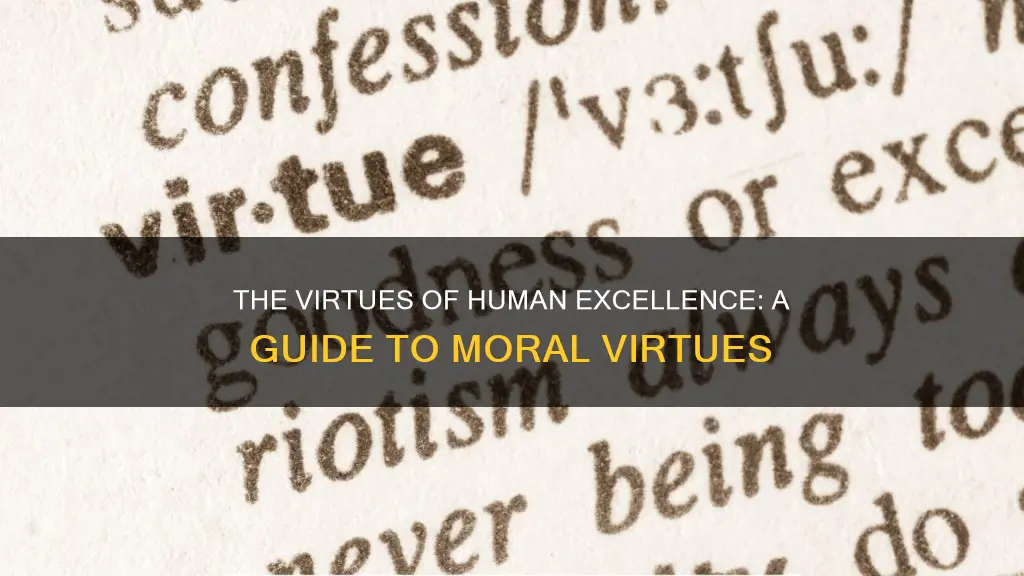 what virtues are said to constitute human excellence