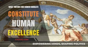 The Virtues of Human Excellence in Homer's Eyes
