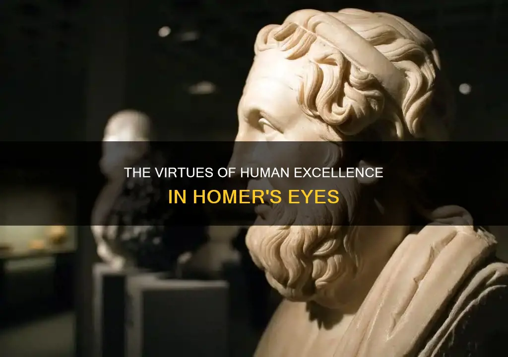 what virtues did homer indicate constitute human excellence