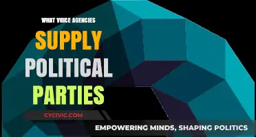 How Voice Agencies Shape Political Party Messaging and Campaigns