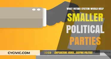 Empowering Smaller Parties: Exploring Fairer Voting Systems for Diverse Representation