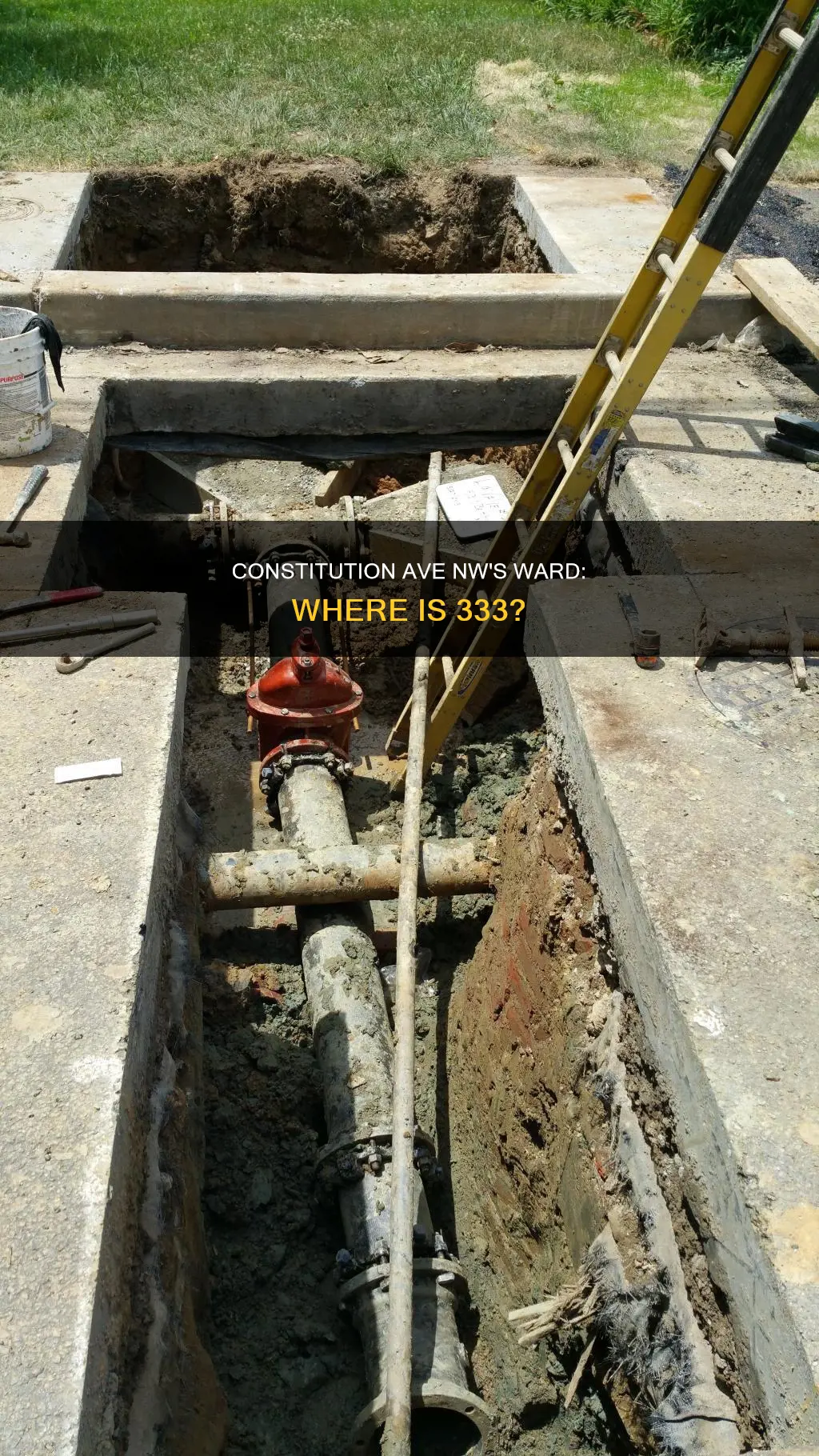 what ward is 333 constitution ave nw in