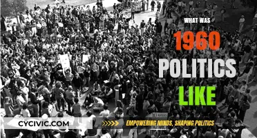The Turbulent 1960s: A Decade of Political Upheaval and Change