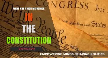 Misdemeanor Crimes: Understanding the Constitution's High Offenses