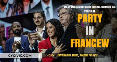 France's Moderate Liberal Bourgeoisie: The Radical Party's Historical Role