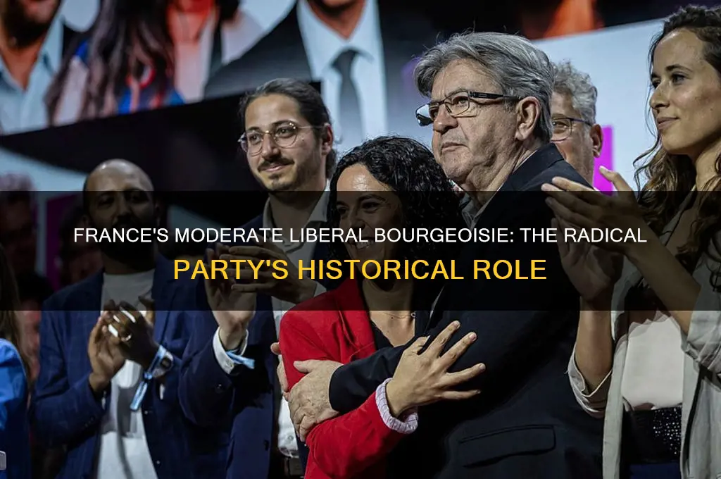 what was a moderatly liberal bourgeoisie political party in francew