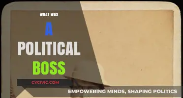 Understanding the Role and Influence of a Political Boss