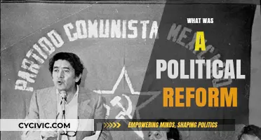 Understanding Political Reform: Historical Context, Impact, and Modern Relevance