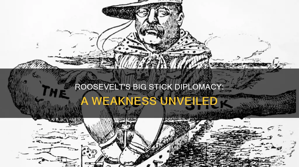 what was a weakness of roosevelt