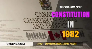 The 1982 Constitution: Amendments and Additions