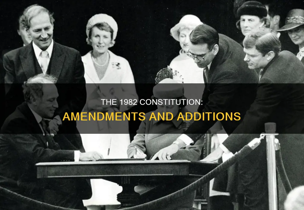 what was added to the constitution in 1982