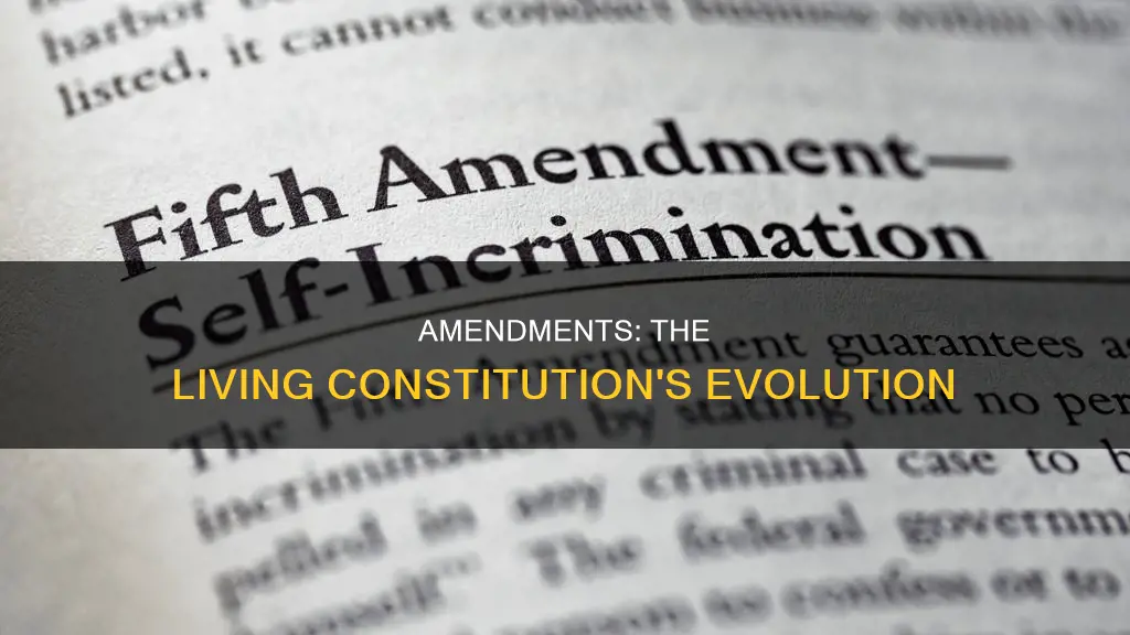 what was added to the constitution that list