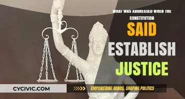 Establishing Justice: The Constitution's Promise and Challenge