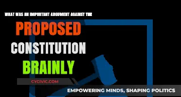 Concerns Over the Constitution's Centralized Power