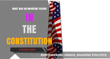 The Constitution: A Pivotal Feature Explored