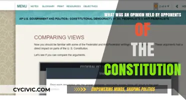 Anti-Federalists: The Constitution's Opponents and Their Views