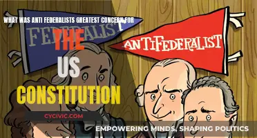 Anti-Federalists' Biggest Fear: US Constitution's Flaw