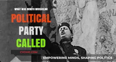 Benito Mussolini's Political Party: The Rise of Fascism in Italy
