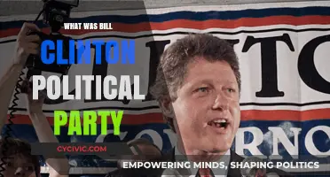 Bill Clinton's Political Party: Unraveling His Democratic Affiliation