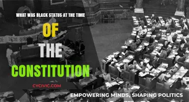 The Constitution's Dark Secret: Black Status Explored