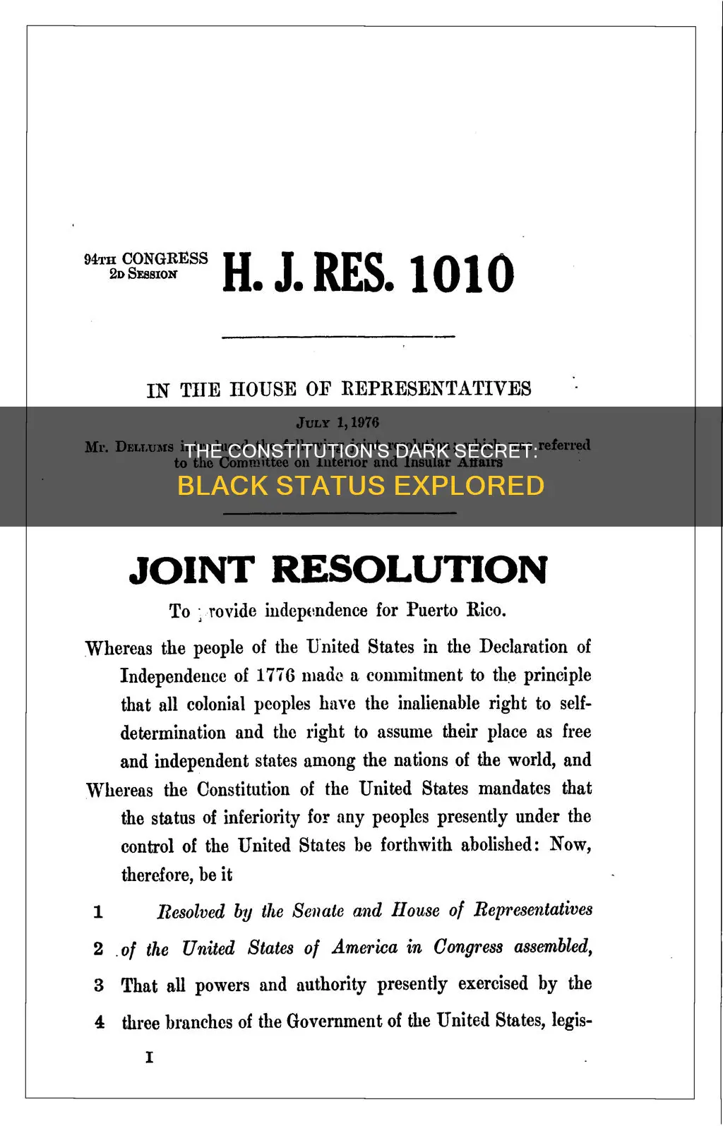 what was black status at the time of the constitution