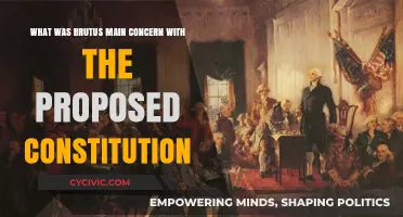 Brutus' Concern: Power and Liberty in the Constitution