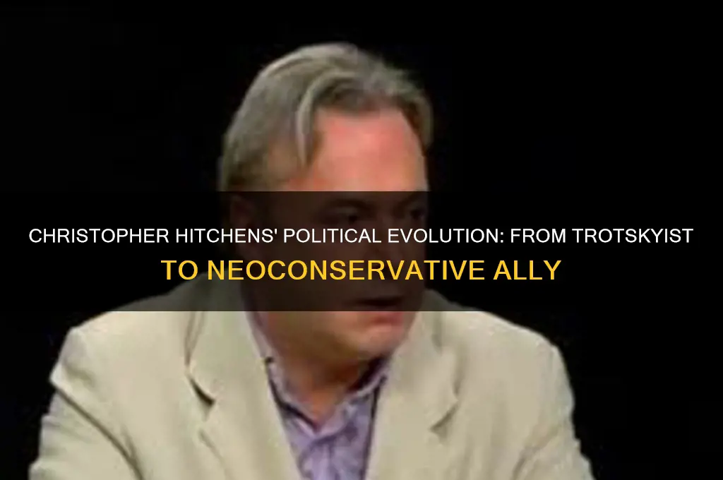 what was christopher hitchens politics