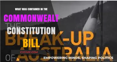 The Commonwealth Constitution Bill: What Was Included?