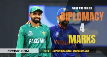 Cricket Diplomacy: India-Pakistan Relations in Play