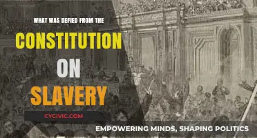 The Constitution's Slavery Defiance: What Was Challenged?