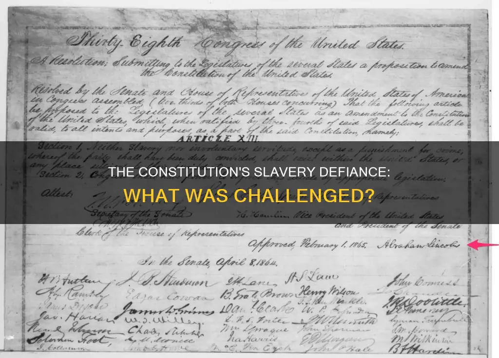 what was defied from the constitution on slavery