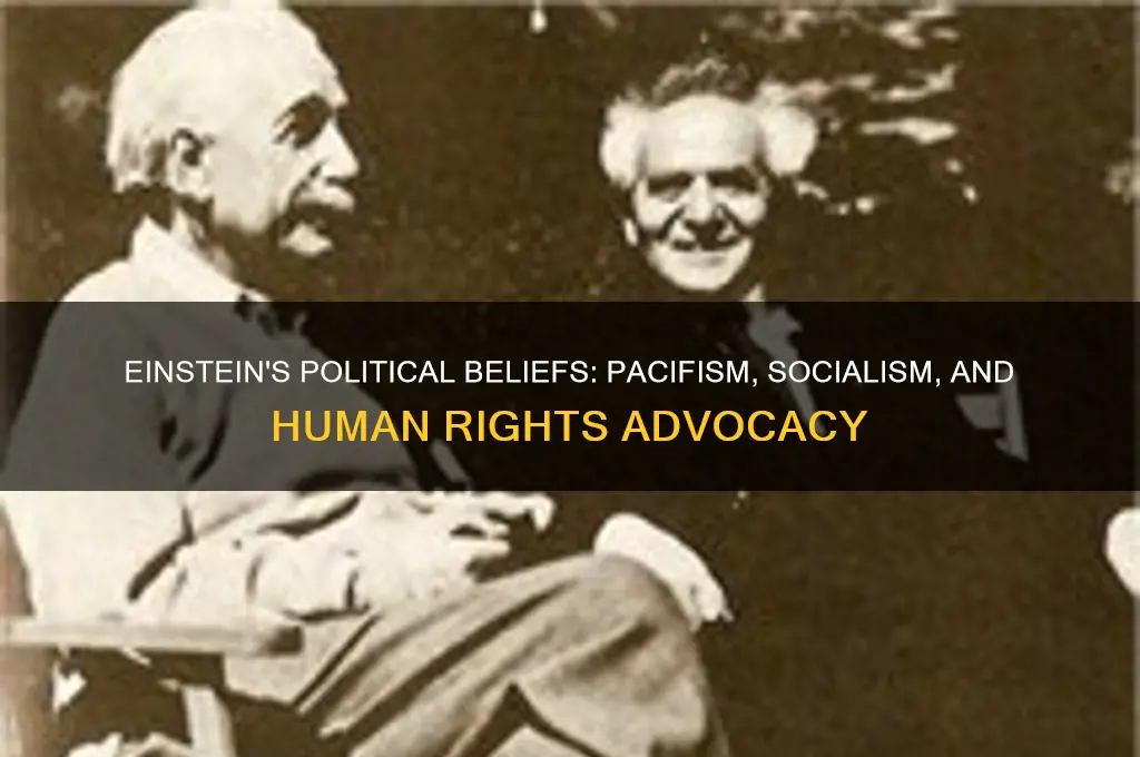 what was einsteins political philosophies