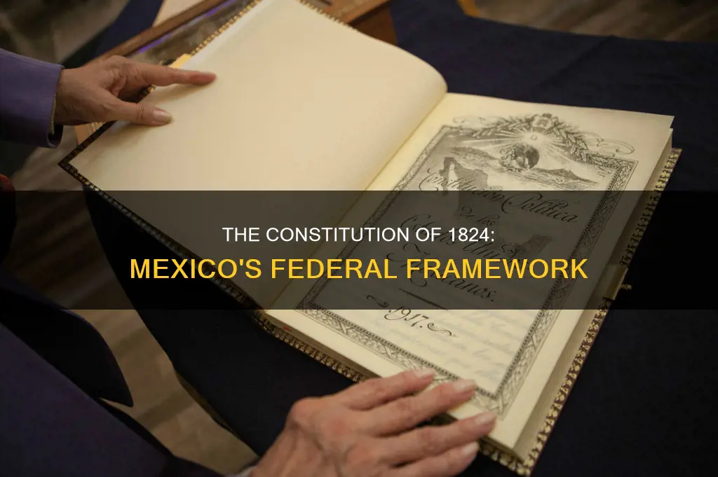 what was established with the mexican federal constitution of 1824