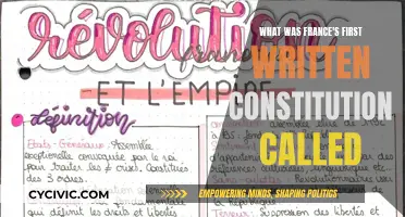 The French Constitution: A Historical First Step