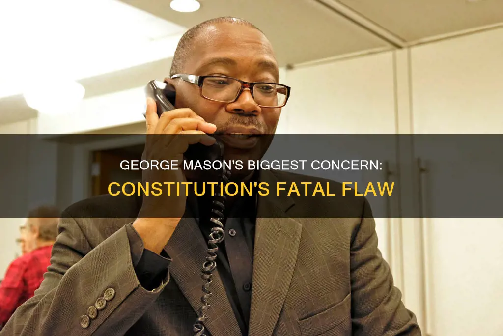 what was george mason biggest concernce about the constitution