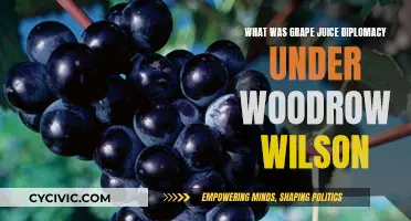 Grape Diplomacy: Wilson's Peace Offering to Mexico