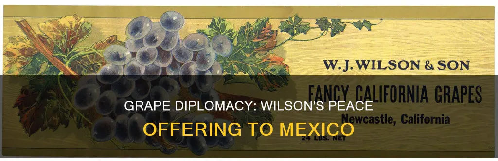 what was grape juice diplomacy under woodrow wilson