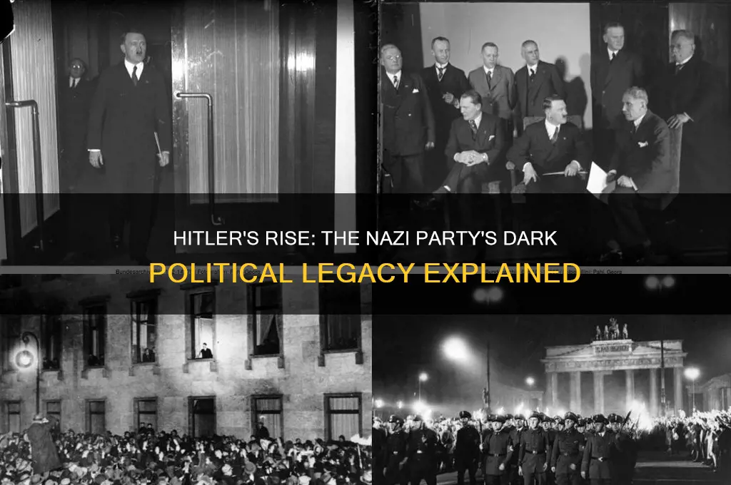 what was hitler political party