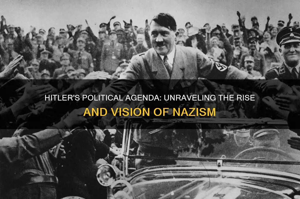 what was hitlers political plan