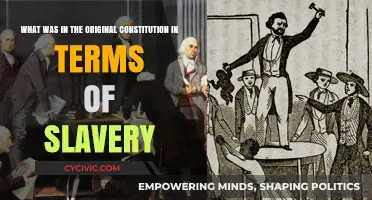 Slavery's Original Constitutional Status: A Historical Overview