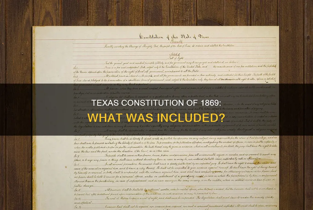 what was included in the texas constitution of 1869