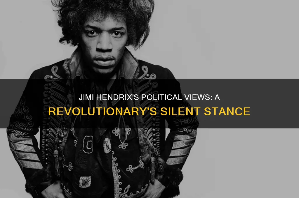 what was jimi hendrix politics